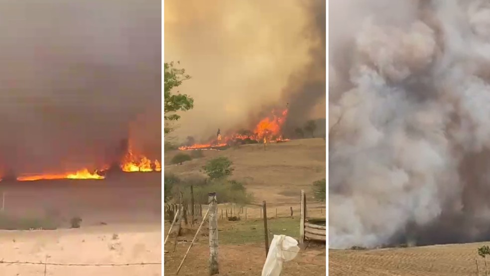 Fogo atingiu área de vegetação em Neves Paulista (SP) — Foto: Arquivo pessoal