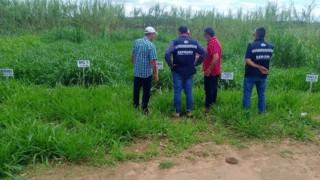 Rio das Ostras busca novas tecnologias para produção rural