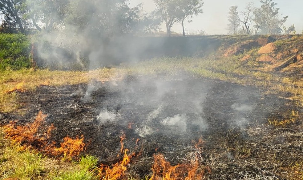 Corpo de Bombeiros registra aumento de 11,5% em ocorrências de incêndio em vegetações na região de Presidente Prudente (SP) — Foto: Defesa Civil