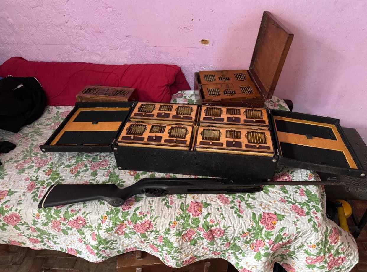 Polícia apreende mais de cem pássaros usados em rinhas em SP