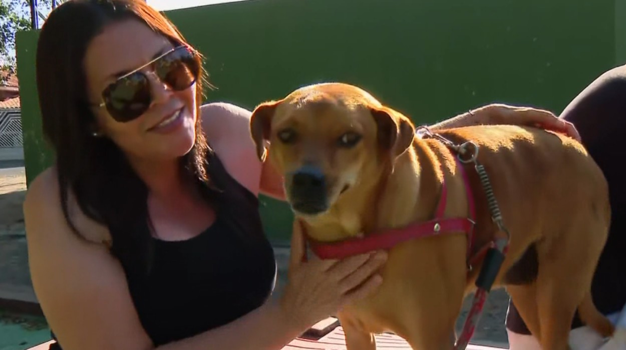 Hora de correr e brincar: Boa Esperança do Sul inaugura parque exclusivo para cães