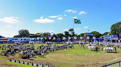 90ª ExpoZebu registra número recorde de visitas internacionais