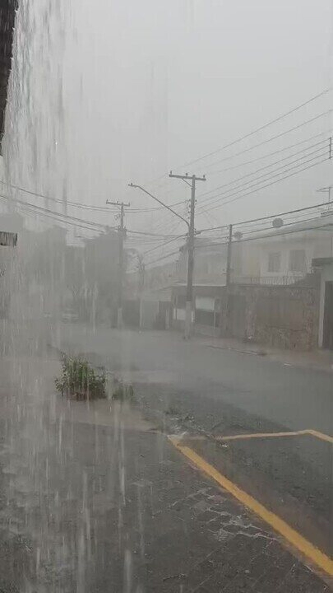 Cidade de SP entra em estado de atenção para alagamentos; Defesa Civil emite mensagem com alerta sonoro no celular