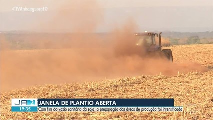 Produtores se preparam para dar início à plantação de soja após período do vazio sanitário