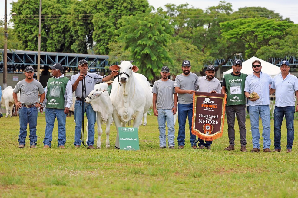 Carina é a grande campeã do campeonato que aconteceu durante a Feira do Agronegócio Mineira (Femec) 2025, em Uberlândia  — Foto: Divulgação