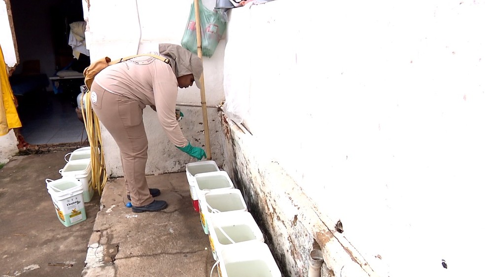 Dia D da 7ª Campanha Regional de Combate ao Aedes aegypti terá participação de pelo menos 90 cidades no Sul de Minas — Foto: Reprodução EPTV