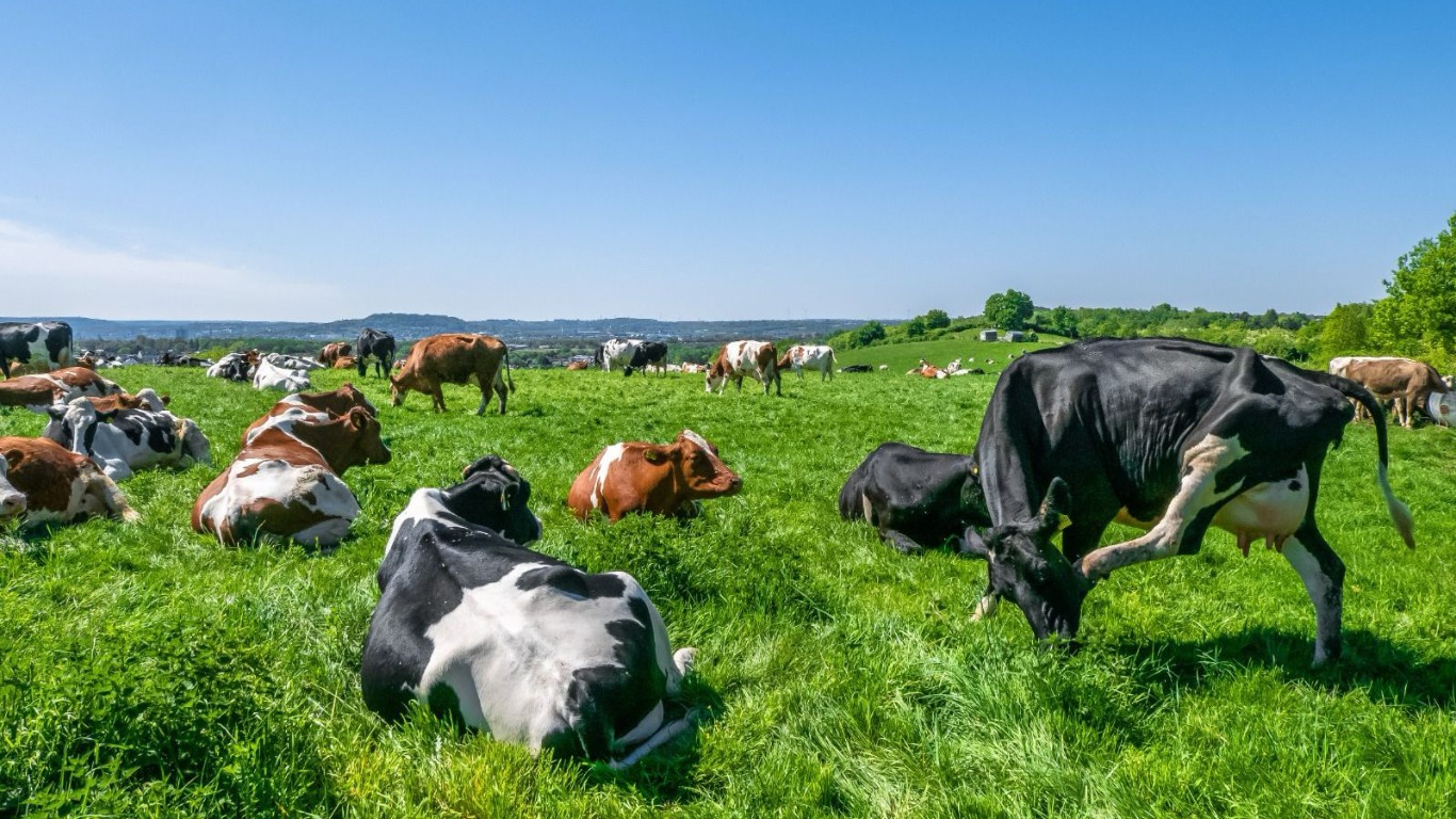ExpoGaranhuns 2026 movimenta agronegócio do Agreste com feiras, exposições e oportunidades