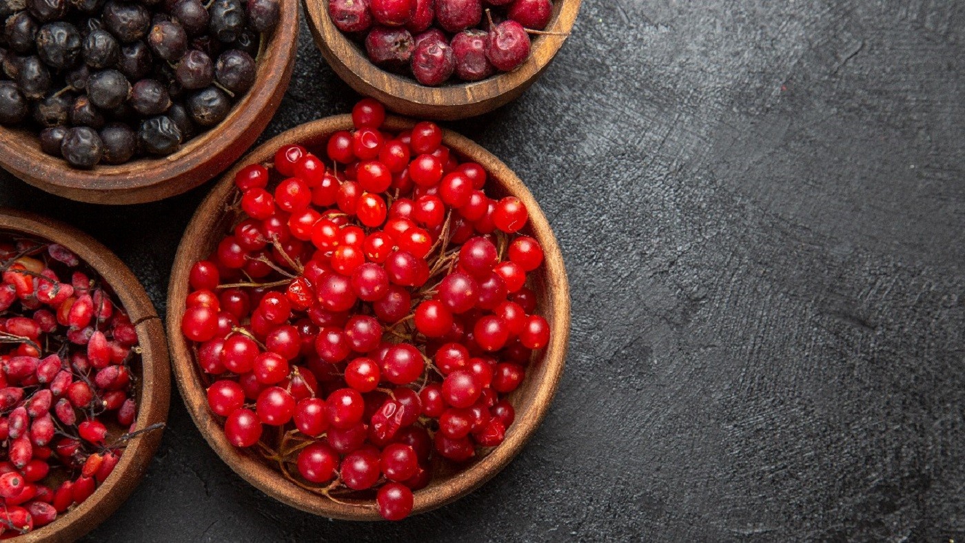 Cranberry: uma fruta repleta de benefícios para a saúde