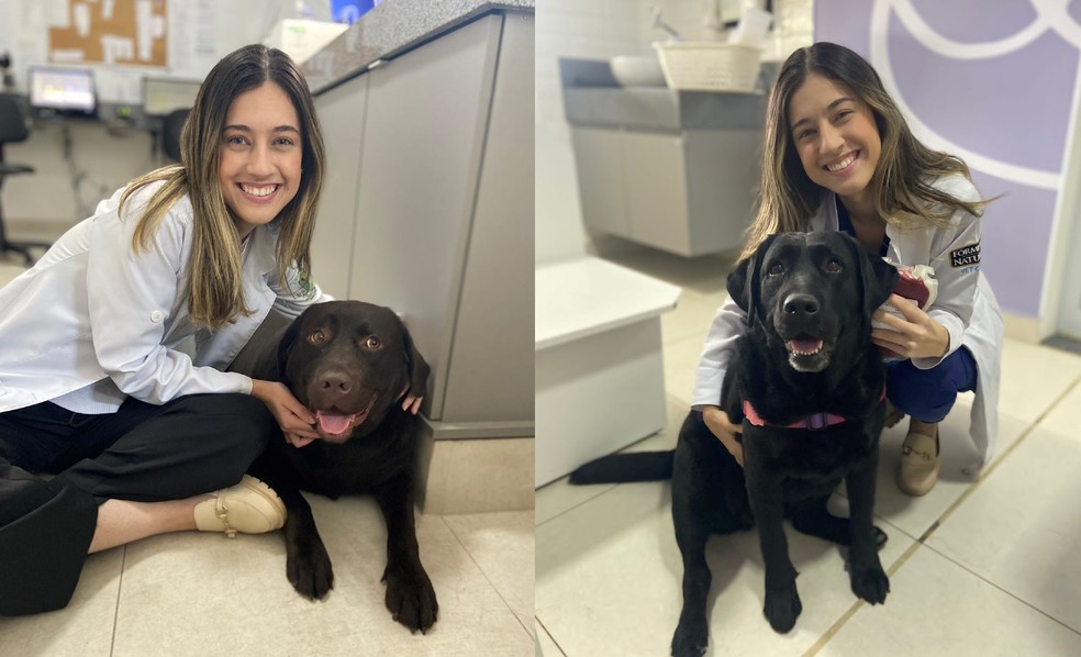 Susana realiza seus atendimentos profissionais através de uma clínica veterinária em Sorocaba (SP) — Foto: Arquivo Pessoal