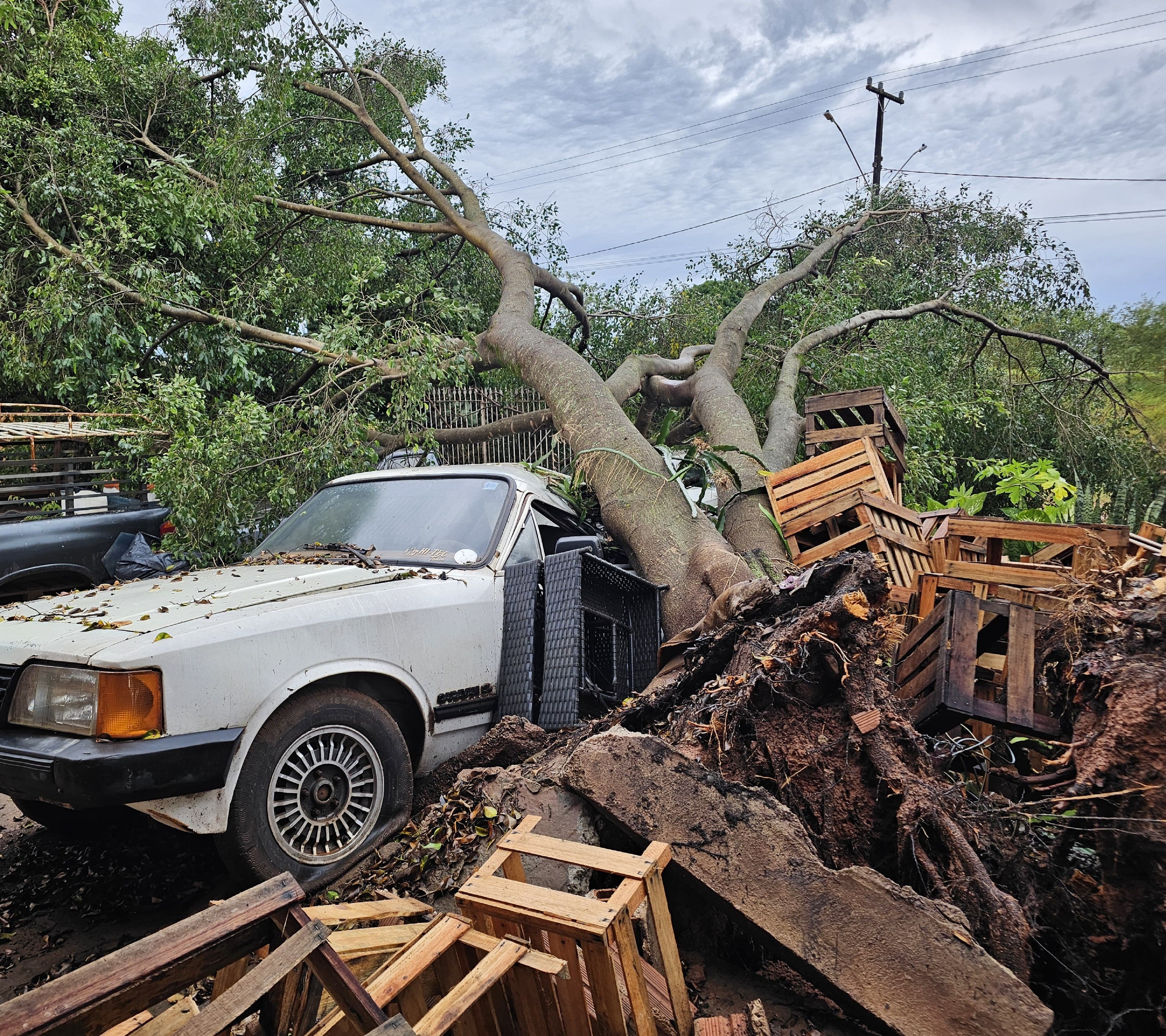 Temporal causa estragos em Presidente Prudente; veja FOTOS