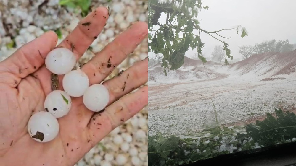 Granizo transforma vegetação em 'tapete de gelo' na zona rural de MG