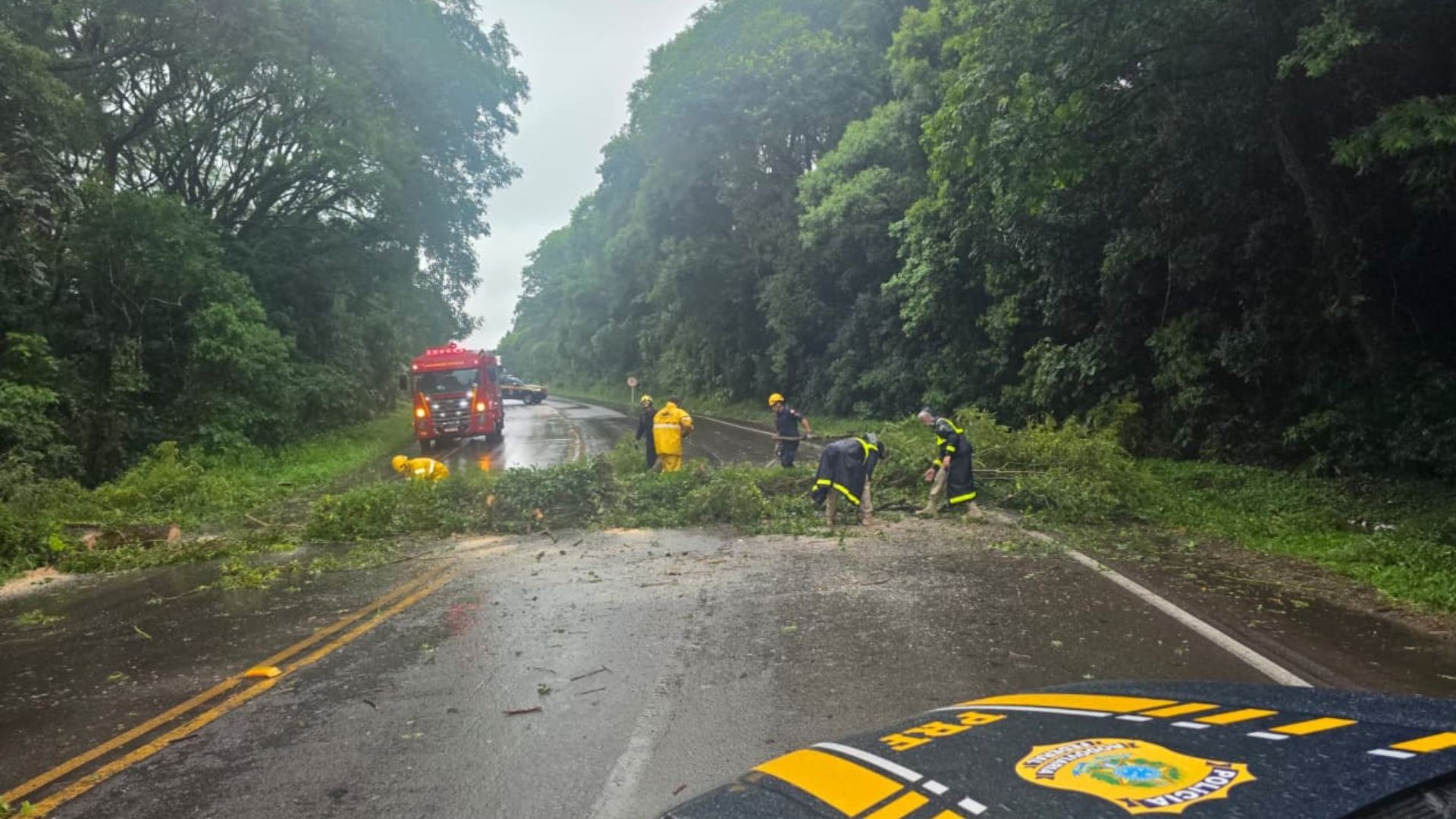 Chuva causa alagamentos, bloqueia estrada, derruba árvores e deixa moradores fora de casa no RS; veja FOTOS e VÍDEOS
