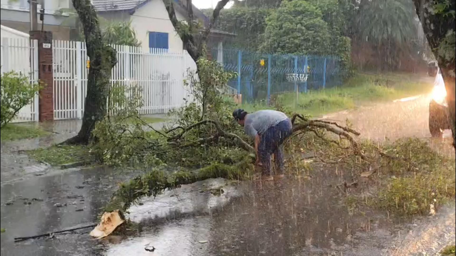 Bairros de Curitiba registram chuva de granizo, quedas de árvores e alagamentos; imagens