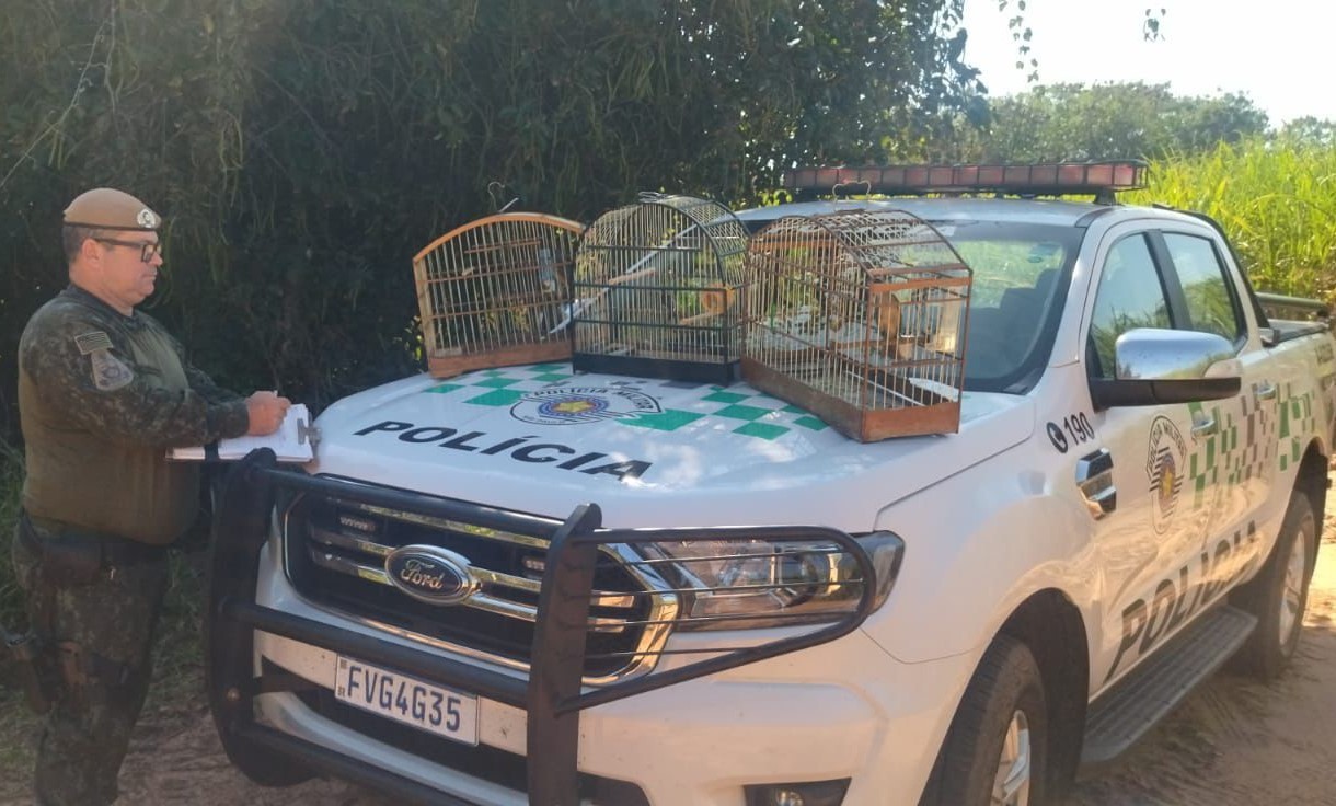 Homem é multado em R$ 2,5 mil por manter aves silvestres em cativeiro no Jardim Marajá, em Pacaembu