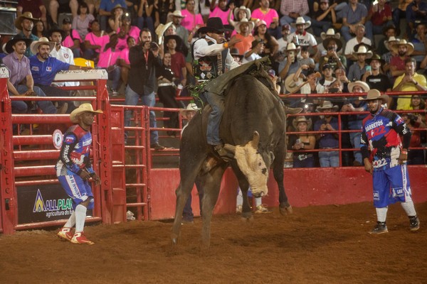 Cia de Rodeio Califórnia de Taquaritinga (SP) é premiada na Festa do Peão  de Barretos – Jornal Tribuna Taquaritinga/SP