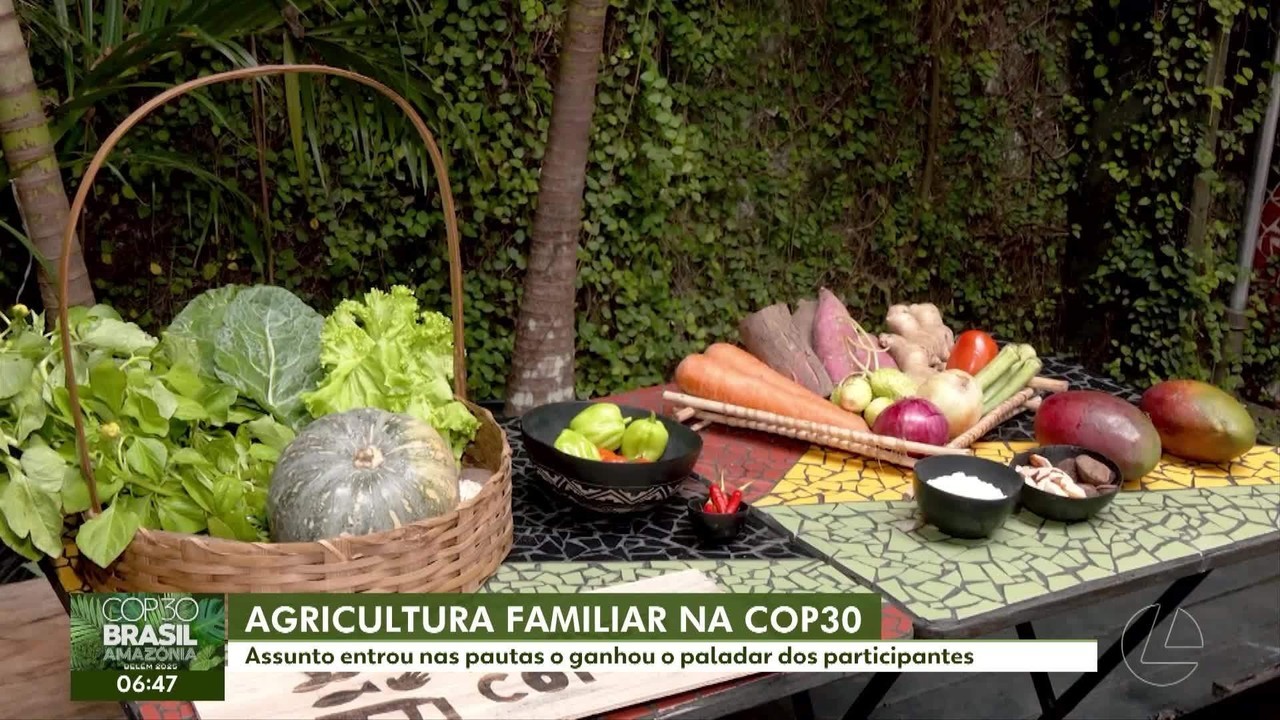 COP 30: pela primeira vez, ao menos 30% da comida servida na conferência veio da agricultura familiar