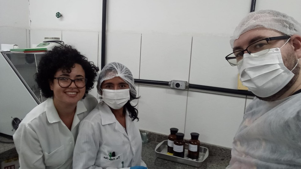 Cientistas brasileiros encontram micriplásticos em placenta de gestantes — Foto: Arquivo pessoal