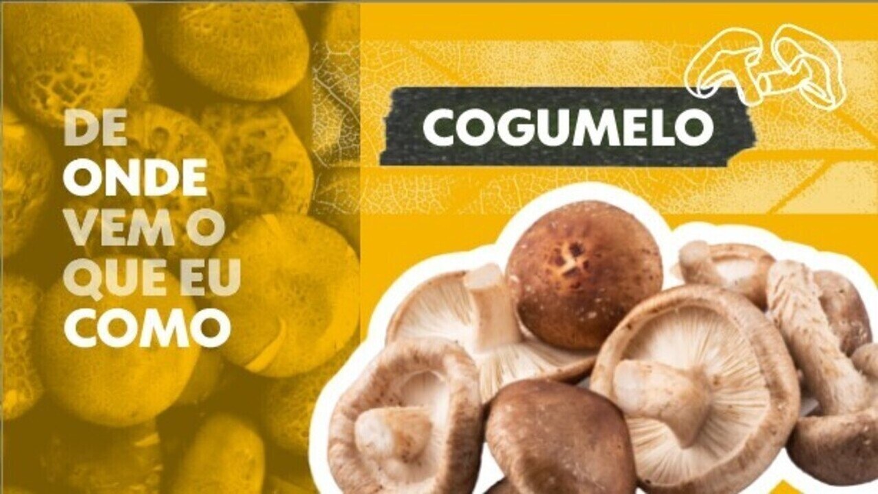 Como o cogumelo é enganado para 'achar' que está na Ásia e ser ...