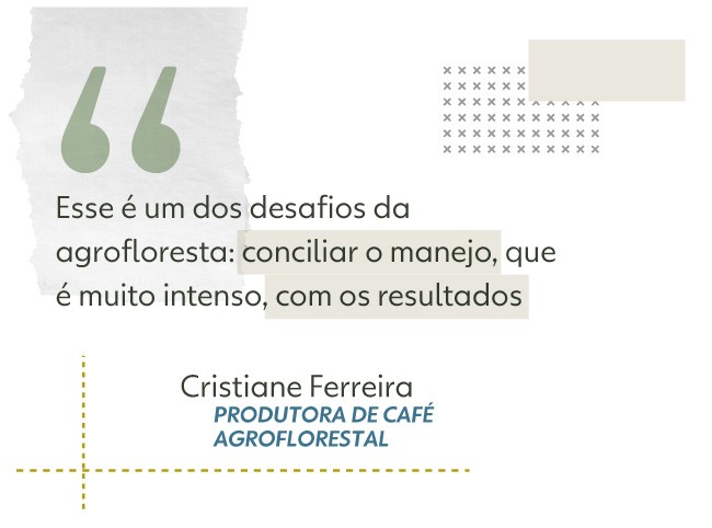 Esse é um dos desafios da agrofloresta: conciliar o manejo, que é muito intenso, com os resultados”, afirma Ferreira. 