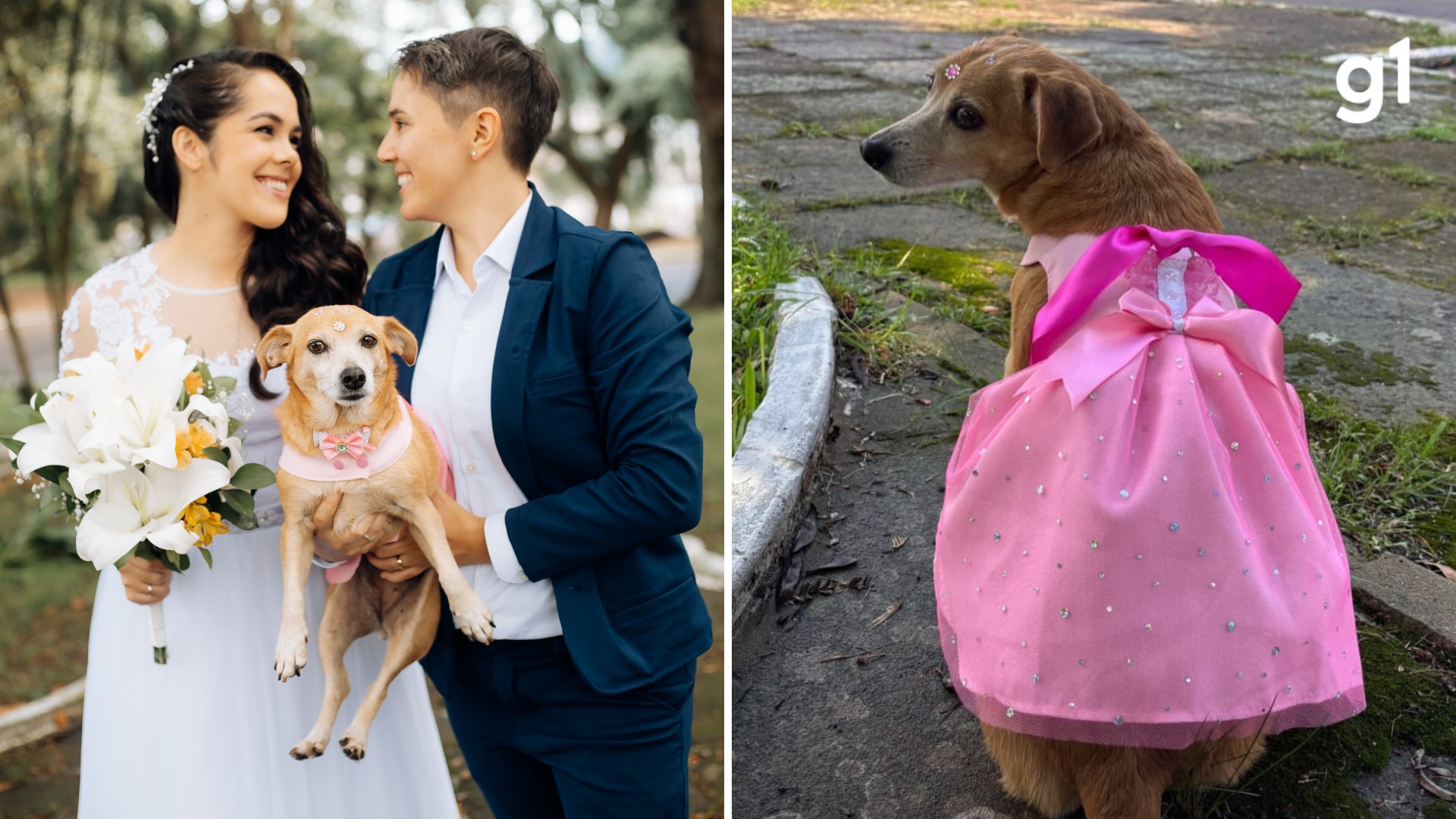 De vítima de maus-tratos a 'daminha': a história da cadela que levou alianças no casamento das tutoras em Guaíba