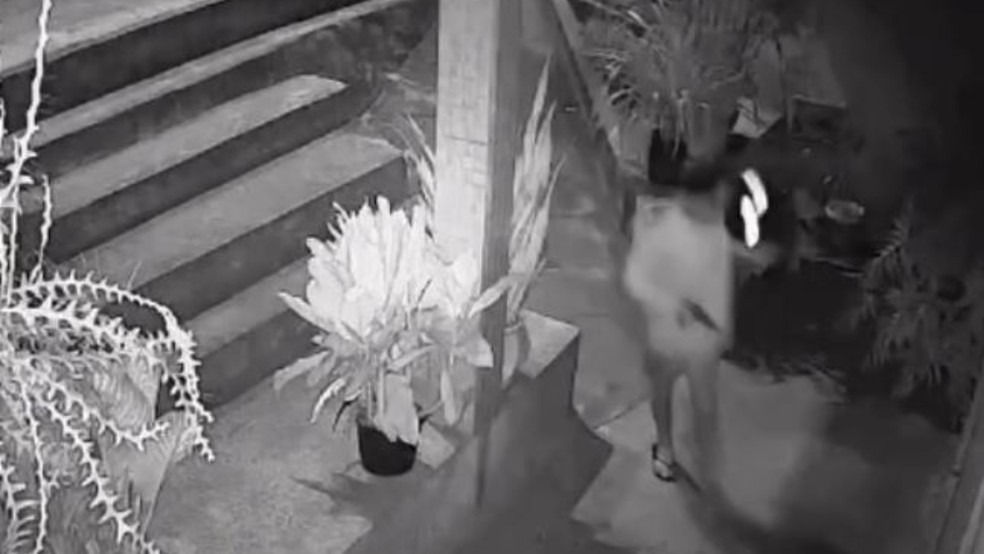 Suspeitos dispararam ao menos oito vezes contra a vítima, que morreu dentro da residência. — Foto: Reprodução