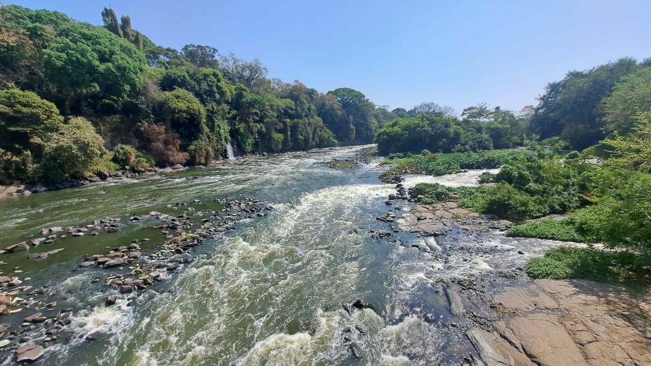 Você Não Tá Convidada pro Meu Bat Mitzvá!