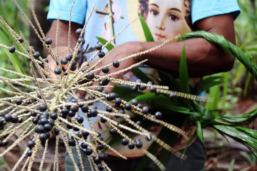 Fundação Amazônia Sustentável lança chamada para iniciativas da sociobiodiversidade 