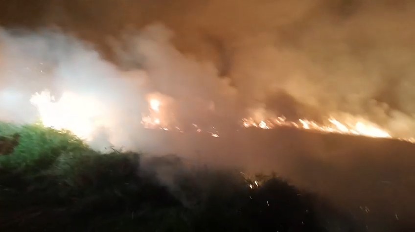 Incêndios de grandes proporções consomem quase 90 hectares no interior de SP 