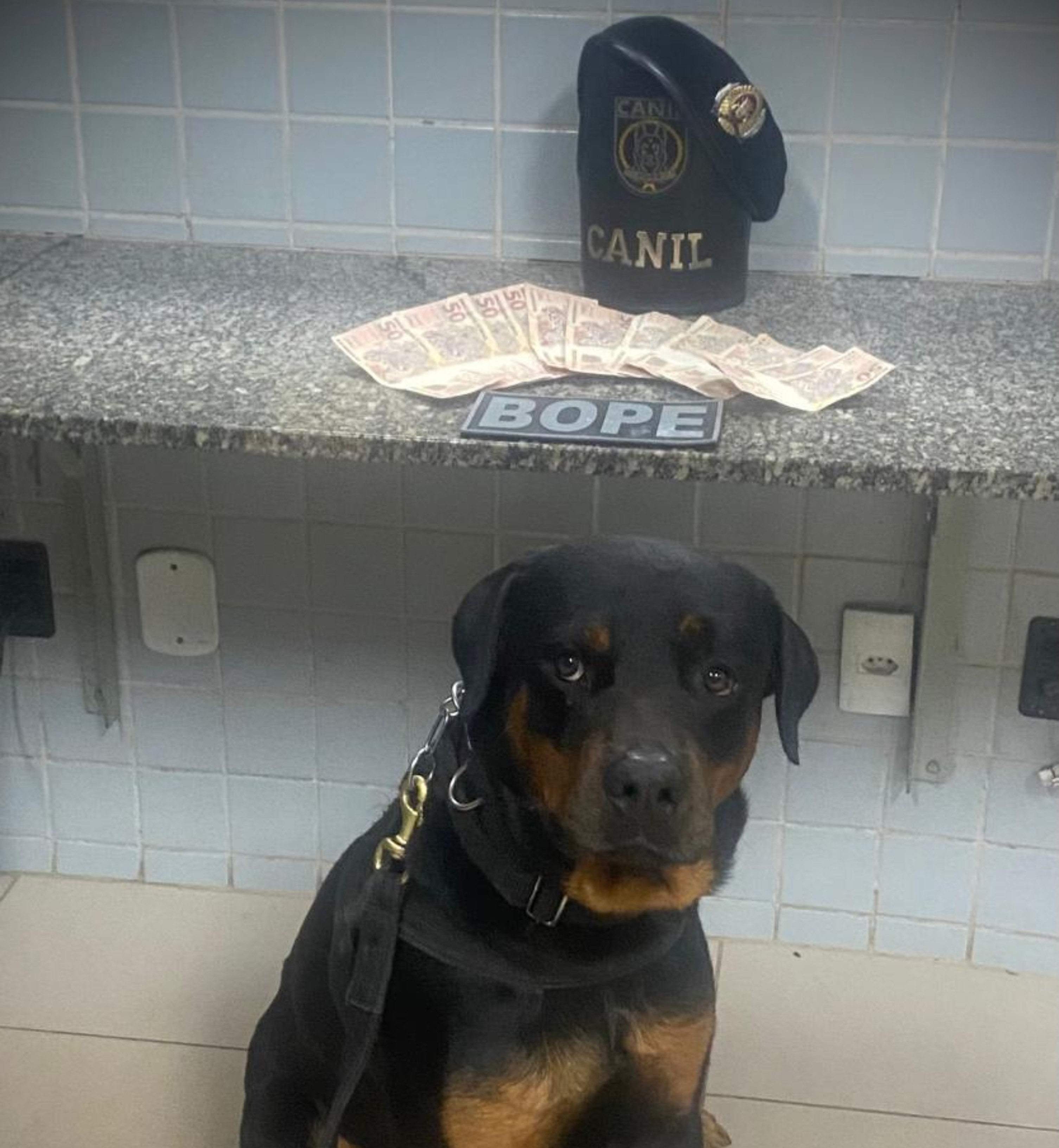 Jovem é preso com R$ 600 em notas falsas e diz à polícia que usaria o dinheiro para comprar drogas