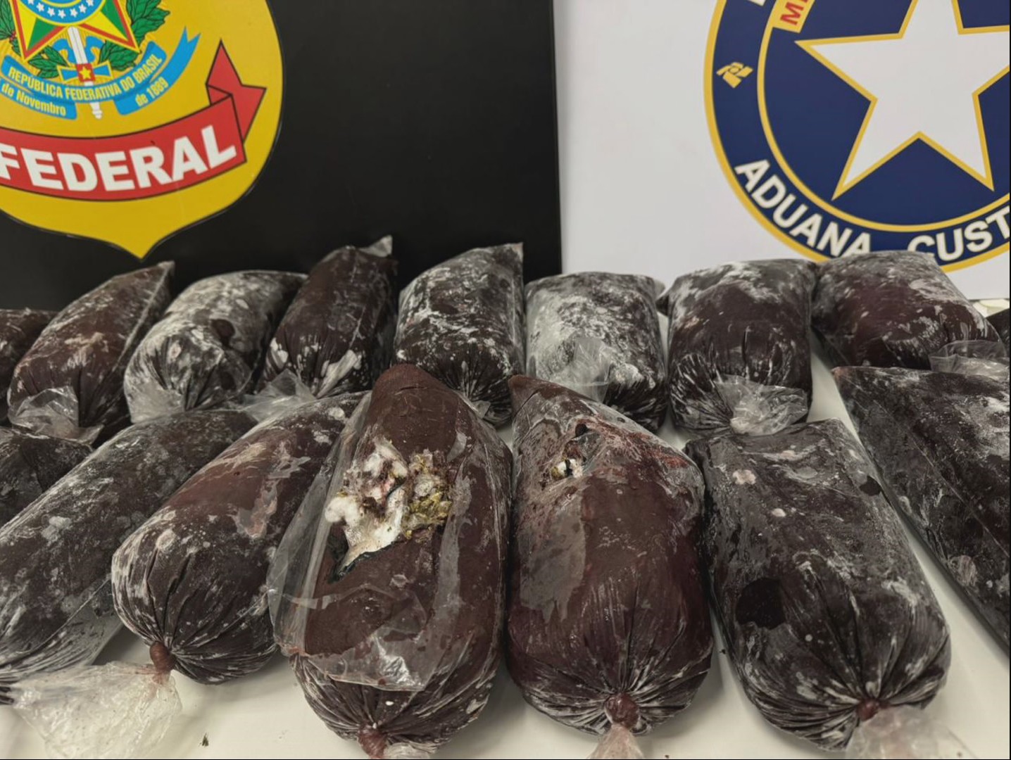 Adolescente é apreendido em aeroporto com 19 kg de haxixe escondidos em sacos de açaí