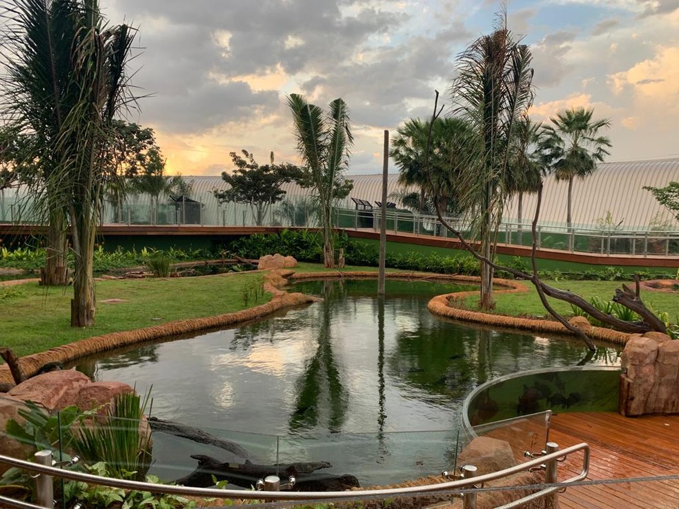 Bioparque do Pantanal tem área externa. — Foto: Renata Fontoura