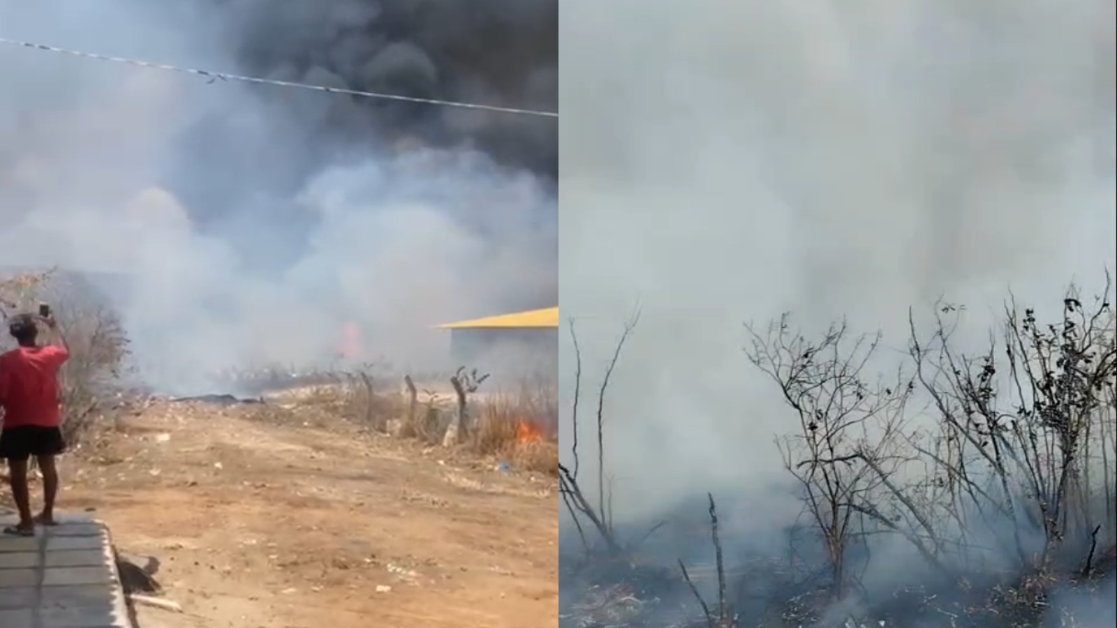 Em um mês, Ceará teve média de 43 incêndios em vegetação por dia; veja vídeos