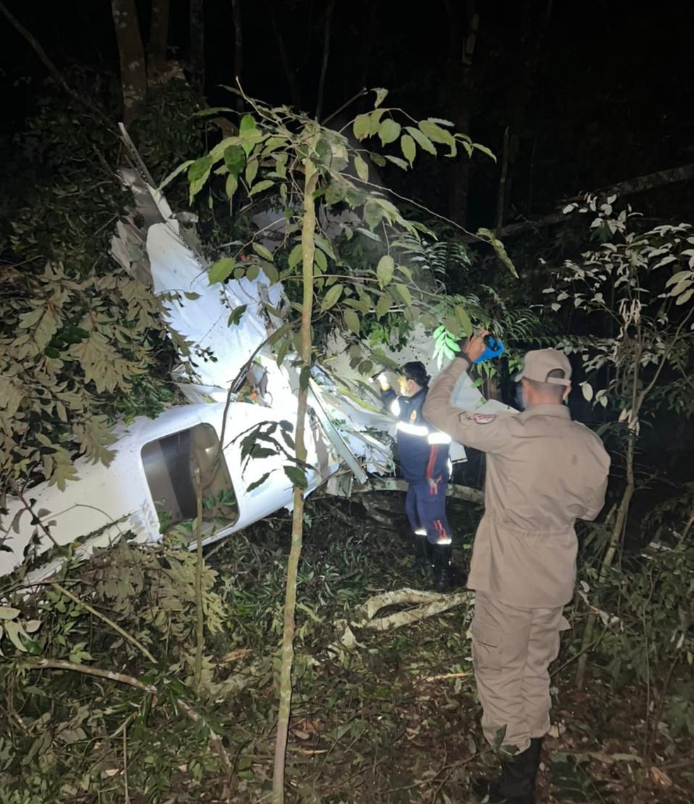Piloto e mais 3 pessoas morrem em queda de avião em região de mata em MT | Mato Grosso | G1