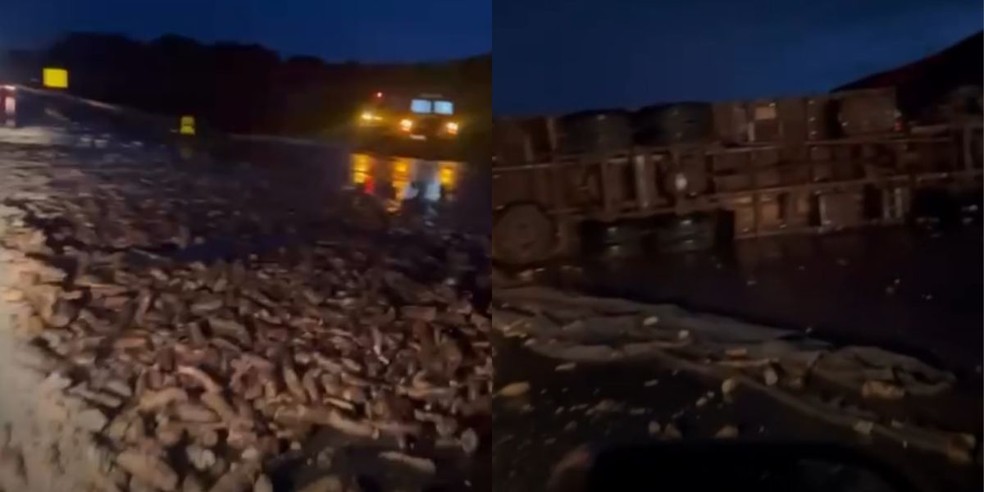 1 de 1
Caminh&atilde;o que transportava mandioca tombou na SP-270, em Assis (SP) &mdash; Foto: Redes sociais