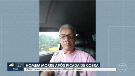 Idoso morre após ser picado por cobra em Duque de Caxias, na Baixada Fluminense - Programa: RJ1 