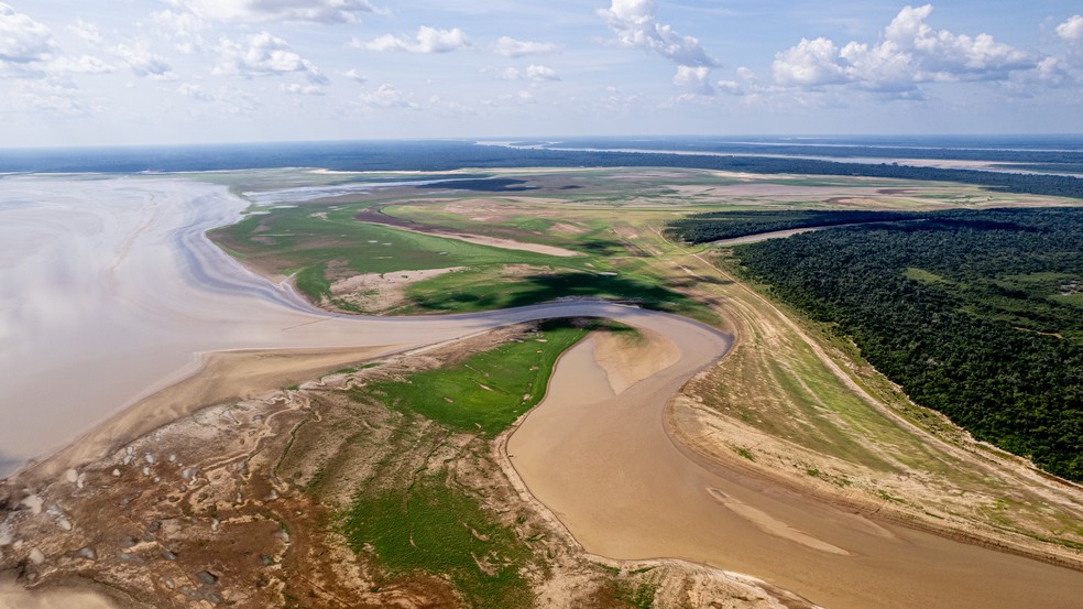 Enseada do Papucu, um dos pontos preferidos dos botos da região pela abundância de peixes no Amazonas. — Foto: Divulgação/WWF