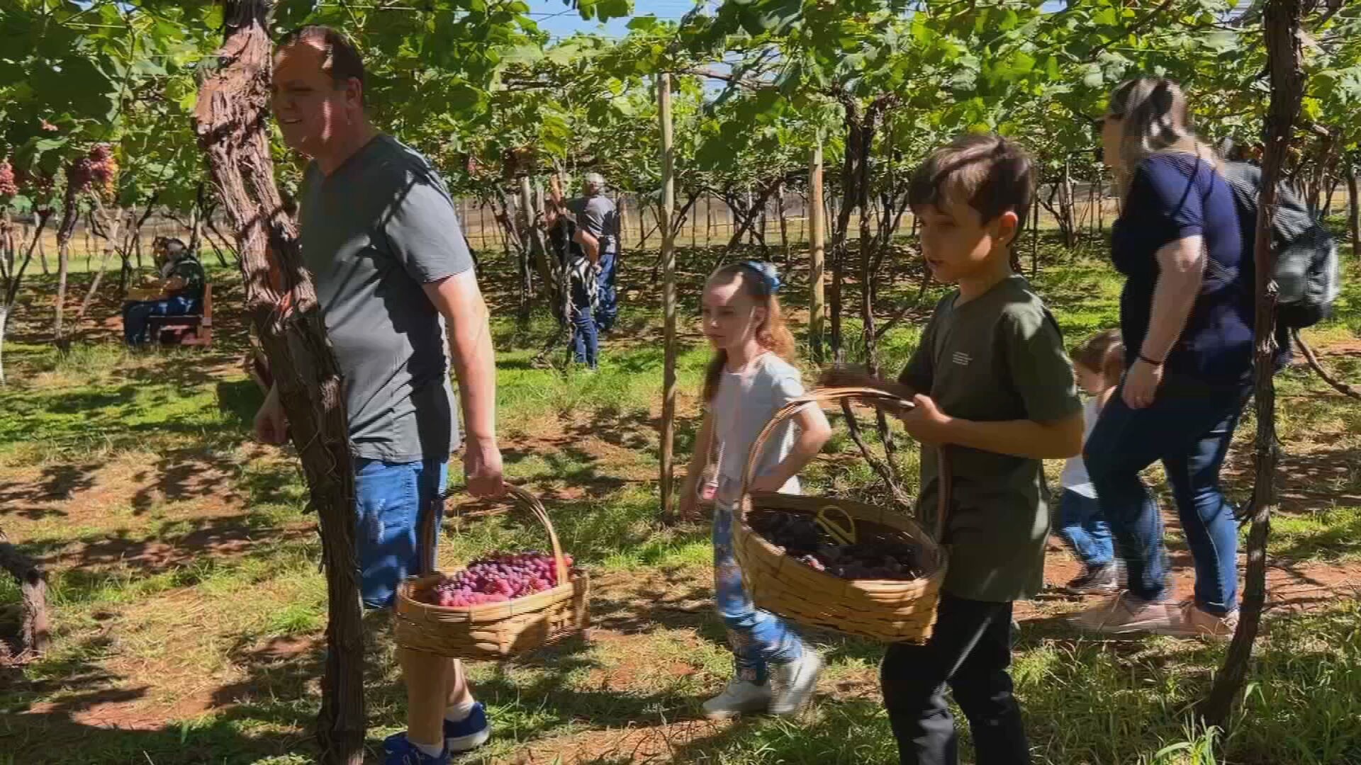 Cidades do noroeste paulista investem na experiência do campo para atrair visitantes