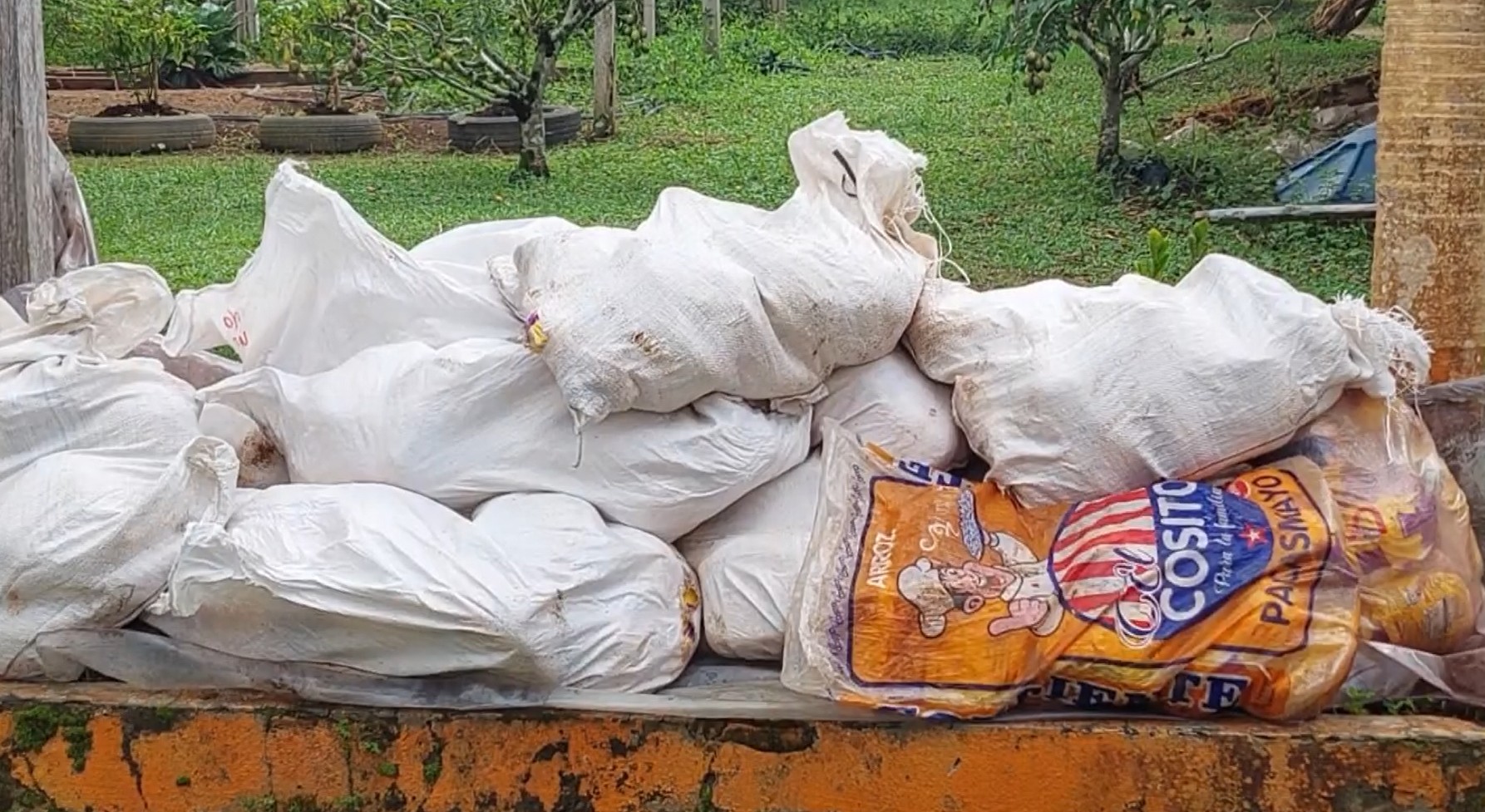 Cerca de uma tonelada de frango impróprio para consumo é apreendida durante fiscalização no interior do AM