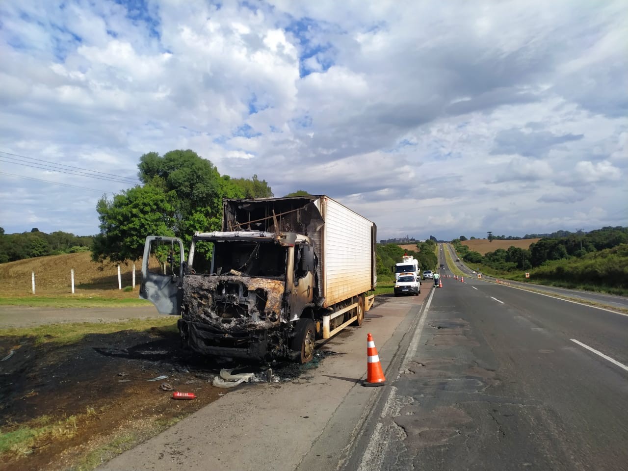 Caminhão carregado de pintinhos pega fogo na PR-151 e milhares de aves morrem no incêndio