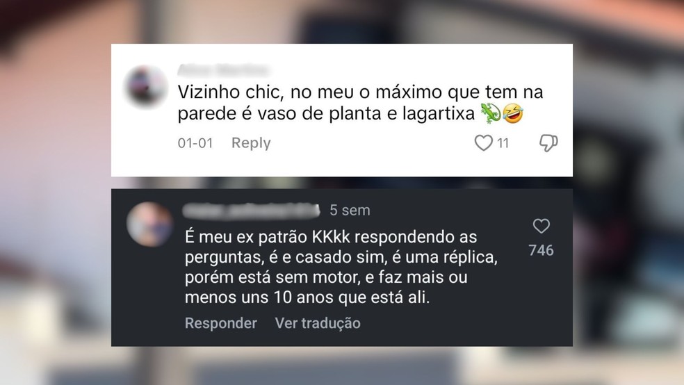 Lótus de Senna pendurada em parede de casa no interior de SP viraliza nas redes sociais — Foto: Reprodução