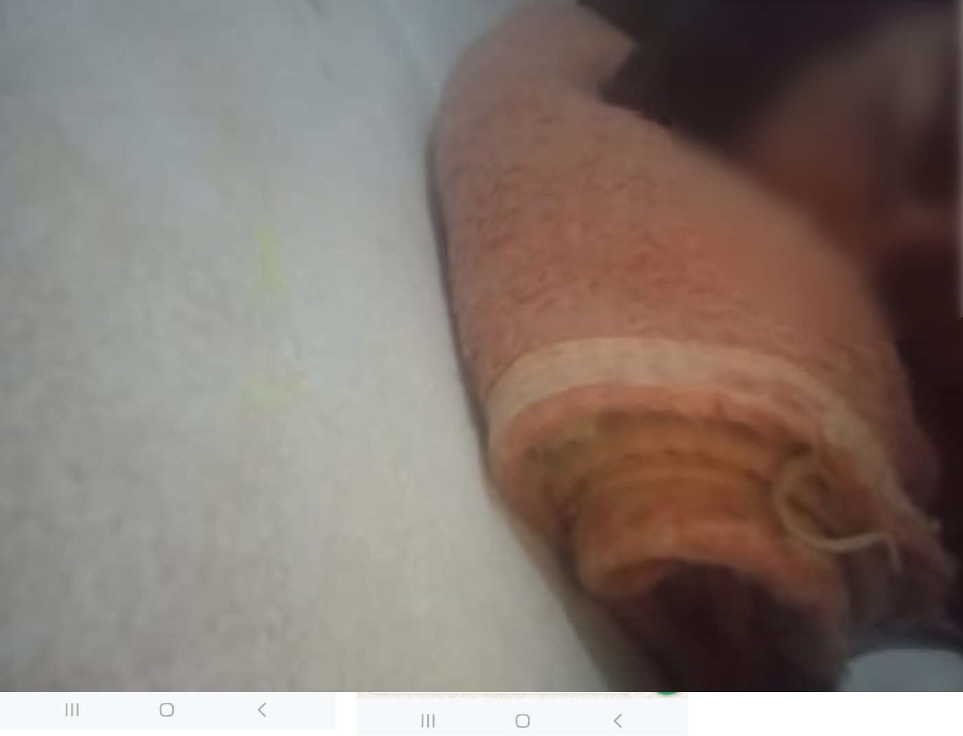 Mulher de Piracicaba que fingia ser vítima de sequestro é presa por extorquir R$ 3,5 mil de amiga de Portugal em golpe digital 