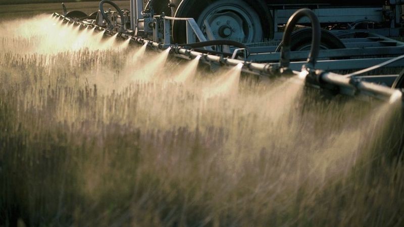 Justiça suspende registro de novos agrotóxicos à base de glifosato por 90 dias em todo o país
