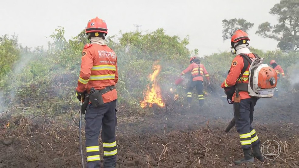 Entenda tcnica de combate aos focos de incndio no Pantanal em que bombeiros usam o fogo — Foto: Reproduo/TV Globo