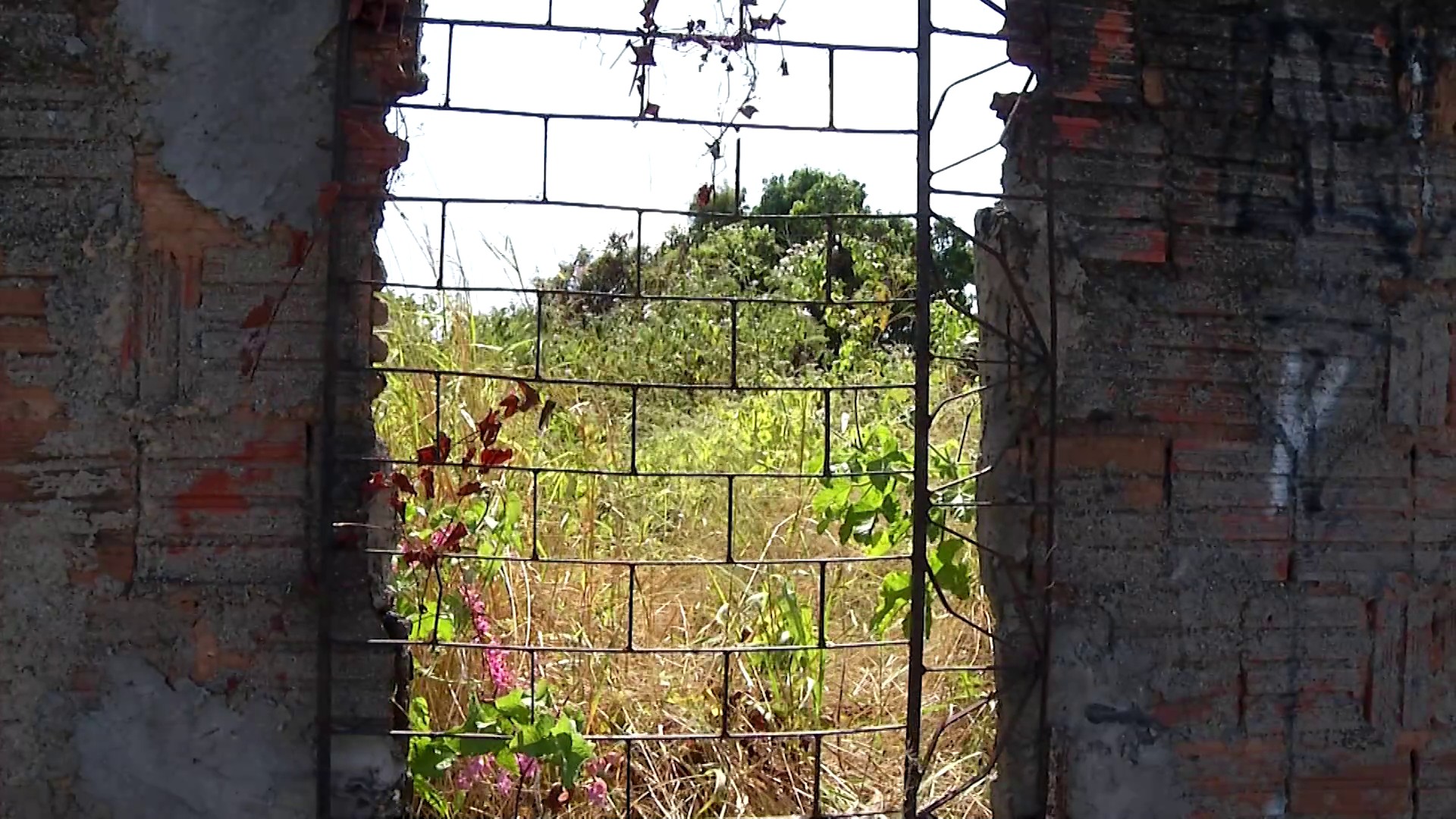 Vazios urbanos: terrenos abandonados viram alvo de nova proposta urbanística em Fortaleza