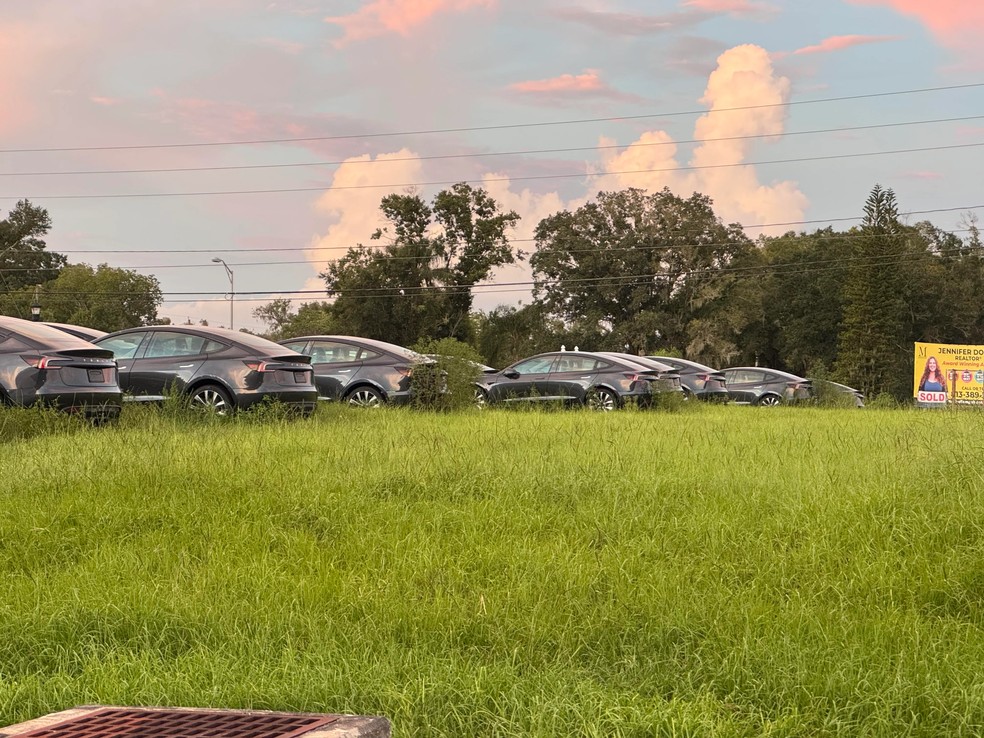 Carros da Tesla em gramado nos EUA — Foto: reproduo/Reddit