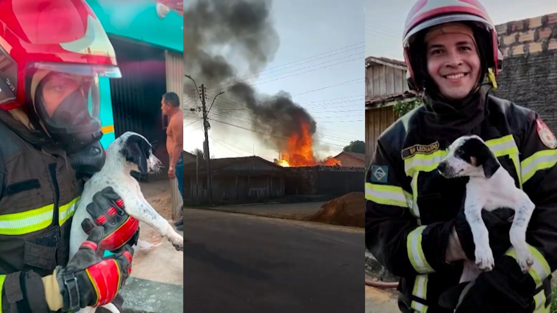 Bombeiros resgatam cachorro preso em quarto durante incêndio que destruiu casa em Paragominas, no Pará