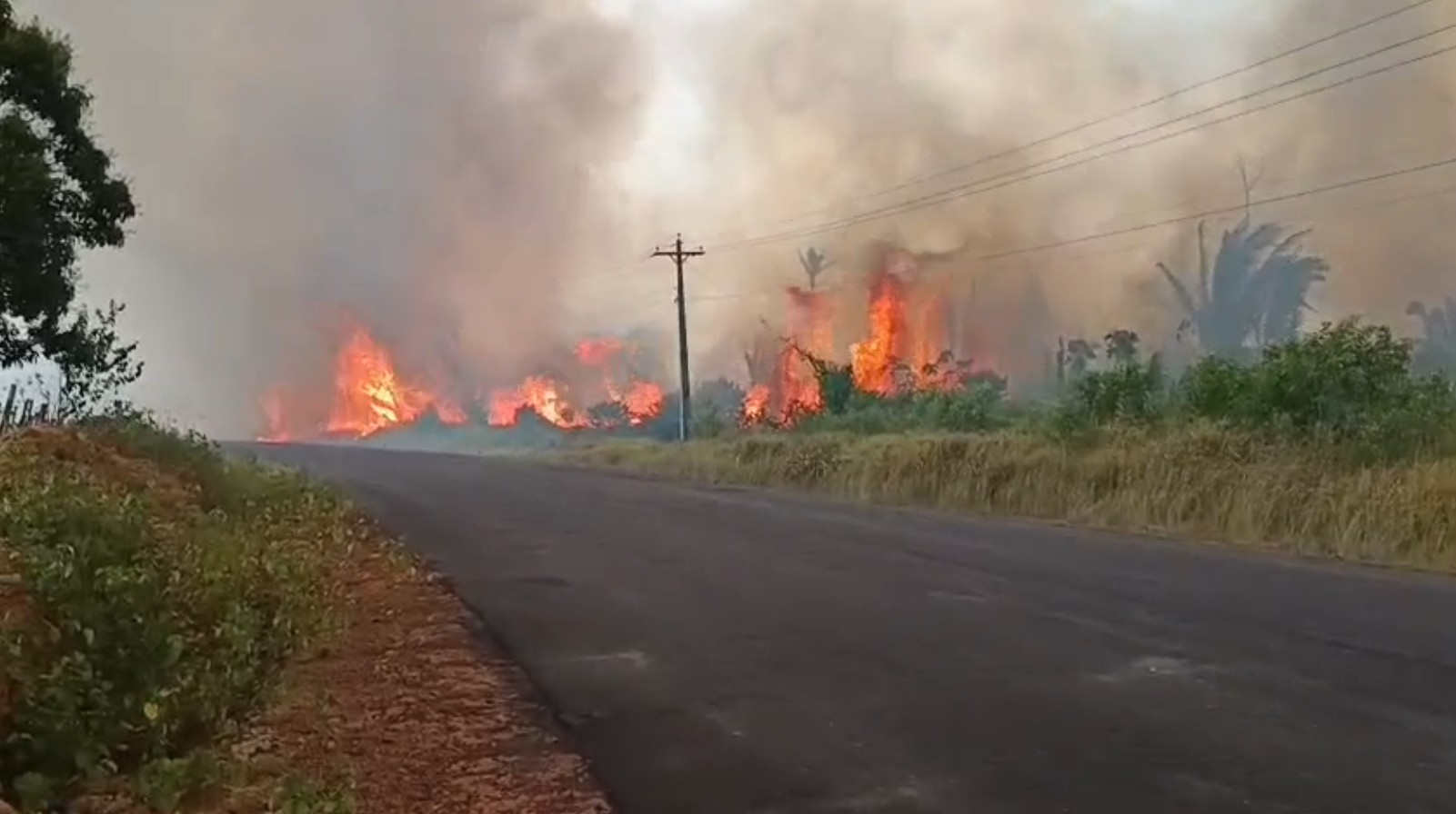 Incêndio atinge vegetação em Caapiranga e moradores temem que sítios sejam destruídos: 'a gente está arriscando a vida'