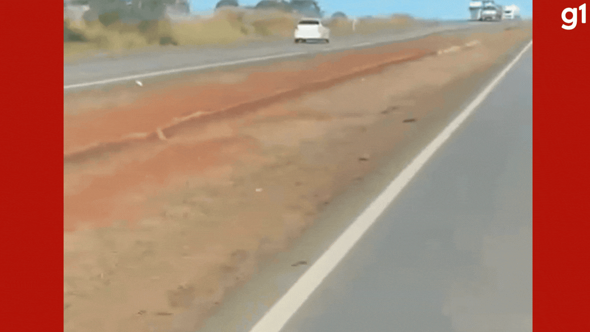 VÍDEO: motorista embriagado é preso por dirigir na contramão e bater em carreta na BR-364 em MT