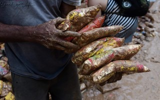 FOTOS: Moradores procuram alimentos em meio à sujeira de lama causada pela chuva no Sul do ES