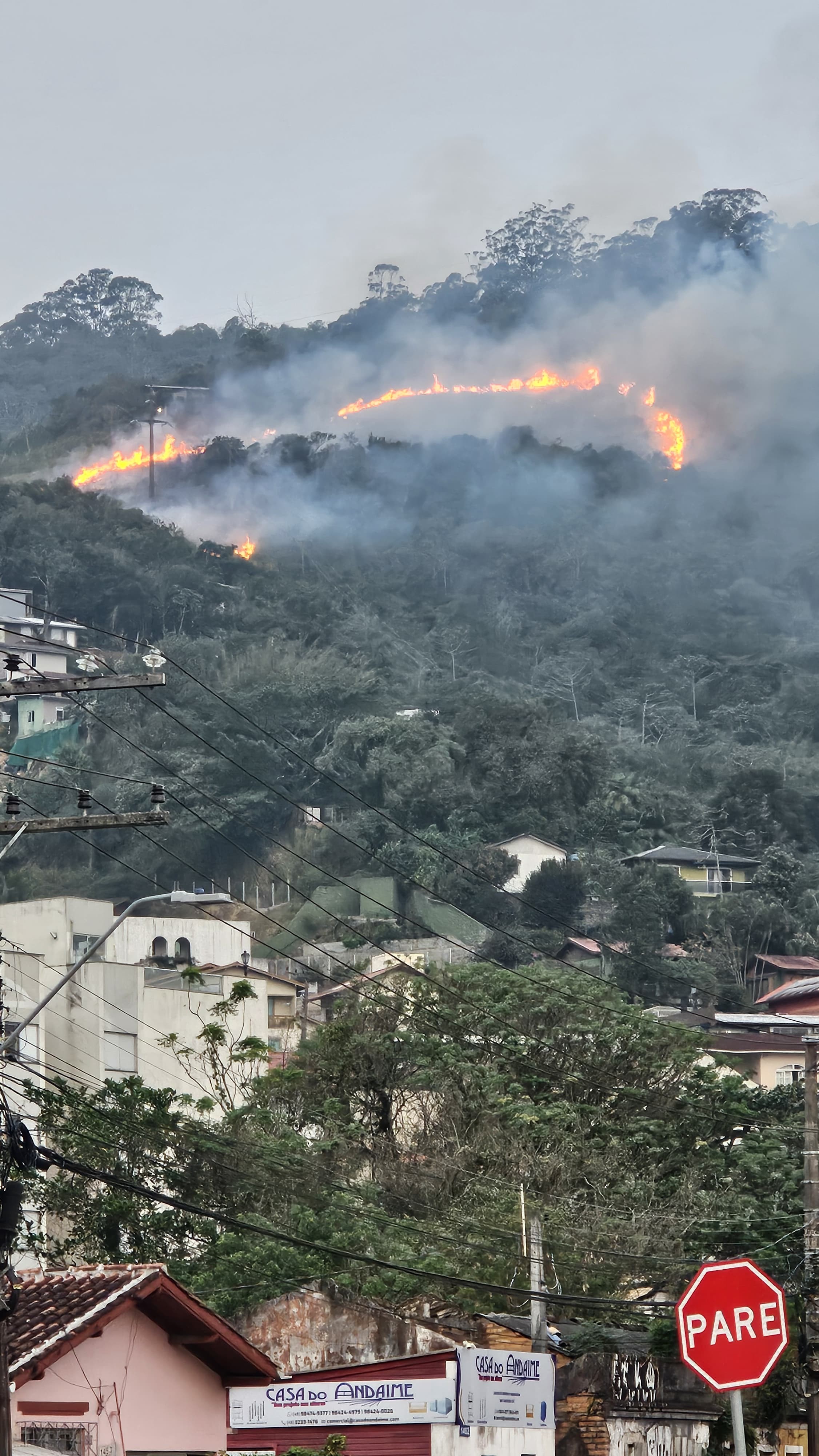 VÍDEO: Incêndio atinge área de vegetação em Florianópolis e polícia investiga ação criminosa